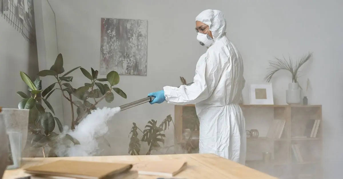 Guide d'achat : Meilleur système de purification d'air
