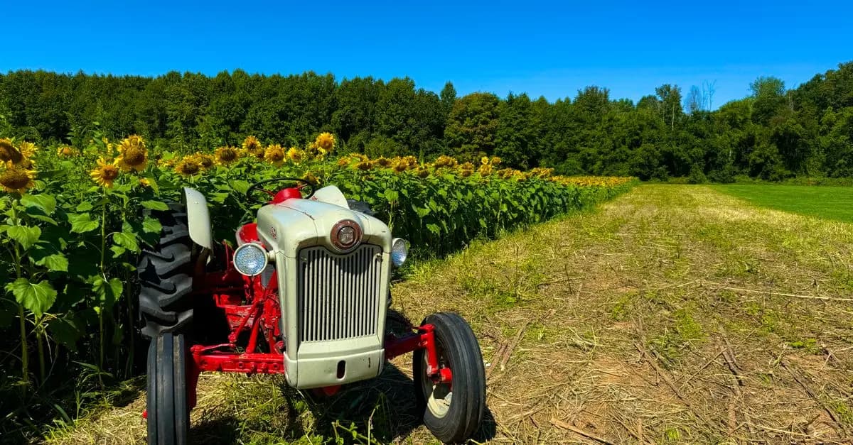 Guide d'achat pour réparer le système de refroidissement d'un tracteur