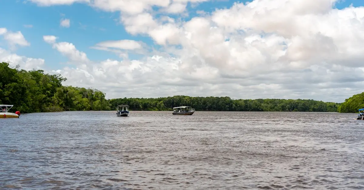 Voyage Aventure en Amazonie : Guide Technique Complet