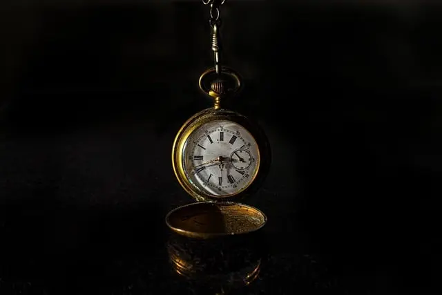 Montres d'exception pour collectionneurs : Guide d'achat