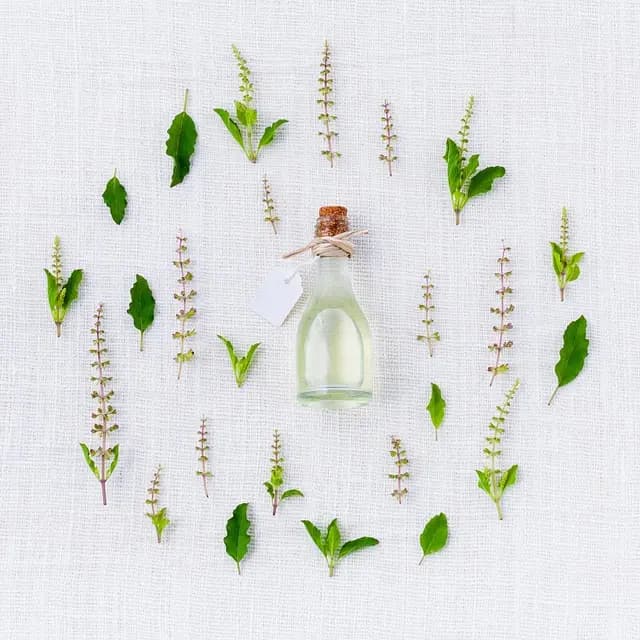 Guide d'achat des meilleurs diffuseurs d'huiles essentielles