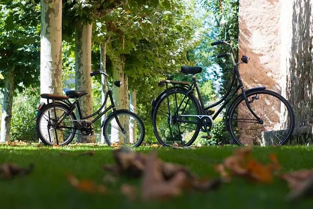 Guía de compra de las mejores bicicletas de montaña
