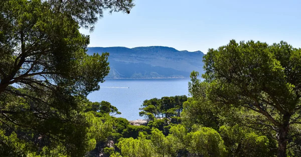 Nature, Luxe, Calme et Beauté : Votre Guide d'Achat
