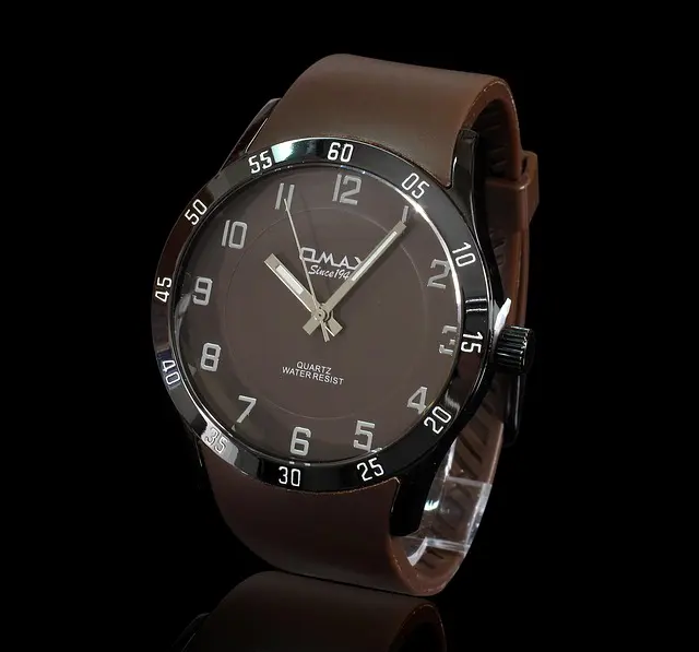 Guide technique sur les montres automatiques