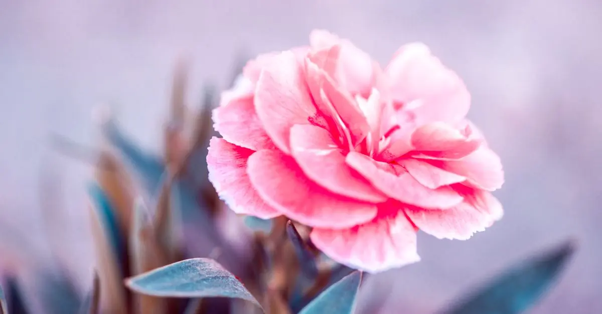 Créer un Jardin selon Votre Profil et Vos Besoins