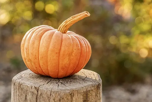 Find the Best Seasonal Items Deals
