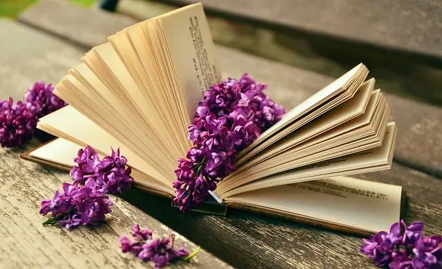 Book Club Essentials for Every Reader